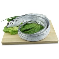 批發(fā)供應(yīng)冰鮮冷凍整條帶魚 海南水產(chǎn)品海鮮魚類 20斤/件