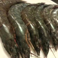 批發(fā)泰國活蝦海上直凍 南美大白蝦每盒3斤 新鮮水產(chǎn)海鮮大蝦