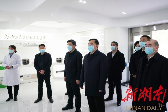 張慶偉在省農(nóng)科院等科研機(jī)構(gòu)和企業(yè)調(diào)研：給現(xiàn)代農(nóng)業(yè)插上科技的翅膀 守住保障國家糧食安全底線