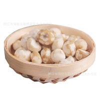 陽江市海陵鎮(zhèn)特產(chǎn)珍珠馬蹄直供椰子雞配料小馬蹄茡薺