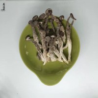 鑫榕鈺 鹿茸菇干貨 菌湯包火鍋食材小條嫩仔促銷直供