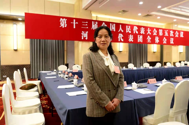 何紅代表：加快建設(shè)一批高標(biāo)準(zhǔn)蔬菜生產(chǎn)基地 打造中部“菜園子”