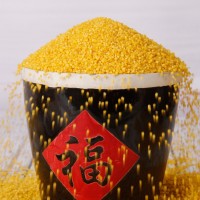 廠家直銷 沁州黃500克真空可貼牌定制 煮飯熬粥香軟可口 量大從優(yōu)