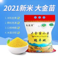 現貨2021年新米赤峰天山大金苗黃小米農家精選五谷雜糧食品