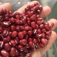 農(nóng)安紅紅豆可商檢可出口5.5mm大顆粒拋光出口級高標(biāo)準(zhǔn)紅小豆