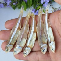 銀魚仔秋刀毛魚刀干咸魚干海燕魚干擺地攤魚新貨公魚干白凡魚飯
