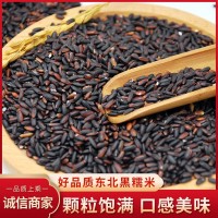 廠家供應(yīng) 五常黑糯米 紫糯米 血糯米 東北圓粒粳米五谷雜糧批發(fā)
