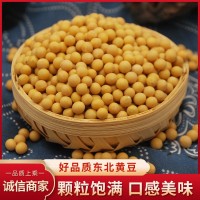 新東北大豆 蛋白質(zhì)豐富 磨豆?jié){生豆芽 21年農(nóng)家自產(chǎn)小粒黃豆批發(fā)