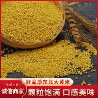 廠家供應(yīng) 農(nóng)家新黃米 東北新米黍米 粘軟大黃米 糯小米 黃糯米