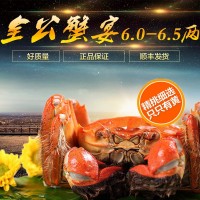 6兩公蟹大閘蟹全公蟹6.0-6.5兩鮮活螃蟹禮盒支持代發(fā)順豐