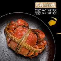 現(xiàn)貨陽澄湖鎮(zhèn)大閘蟹公蟹5-5.5兩4只母蟹3.9-4.3兩4只禮盒裝大閘蟹