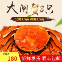 現(xiàn)貨陽澄湖鎮(zhèn)大閘蟹 公蟹3.5兩4只母蟹2.5兩4只禮盒裝大閘蟹批發(fā)
