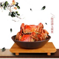 3公2母5對10只禮盒裝蘇州產(chǎn)地陽澄湖鎮(zhèn)大閘蟹養(yǎng)殖場產(chǎn)地直銷