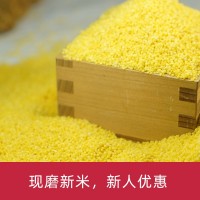 2019年新米 東北朝陽黃小米400g/袋 廠家批發(fā)建平小米
