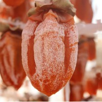 2021年新貨廣西特產(chǎn)降霜吊柿餅 圓柿餅 農(nóng)家柿餅吊柿餅干散裝代發(fā)