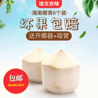 包郵文昌工廠直供海南椰子熱帶椰青9.6.4個裝青椰甘甜爽口優(yōu)選種