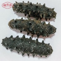 朕宗源淡干大連海參40頭刺參海味足干貨500g海參一手貨源誠招代理