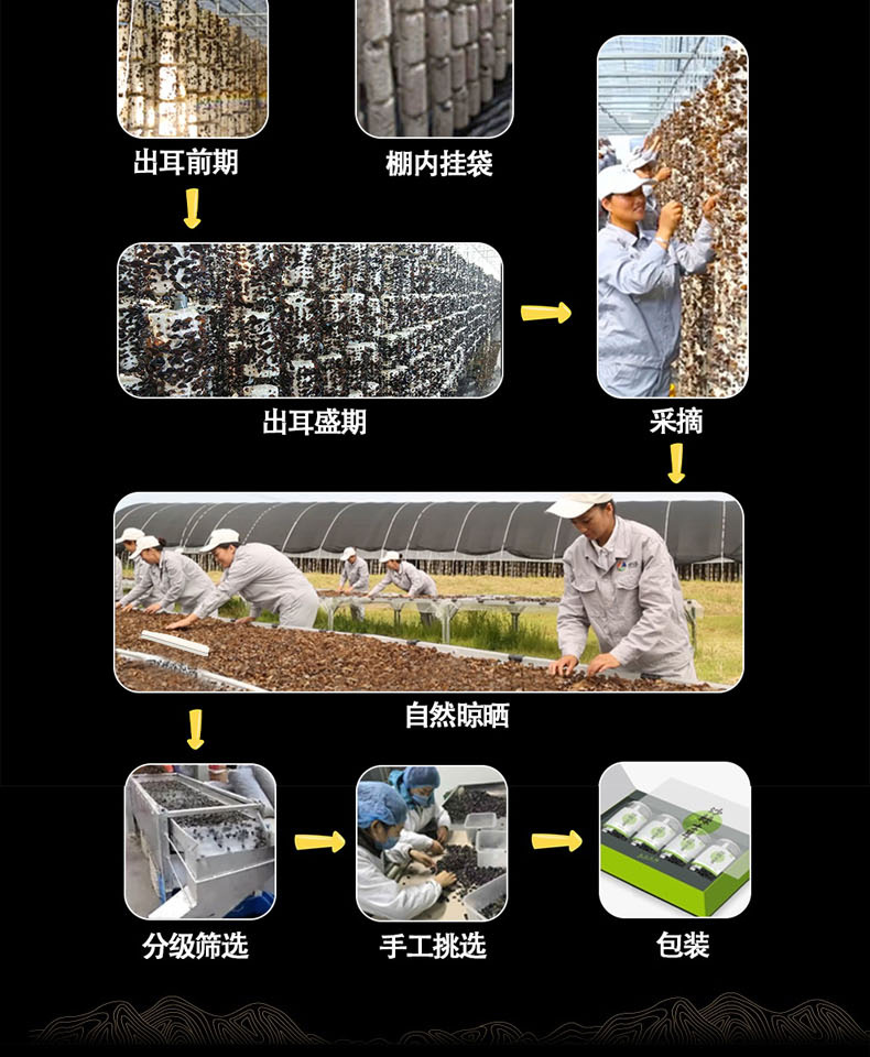 100g-詳_08.jpg