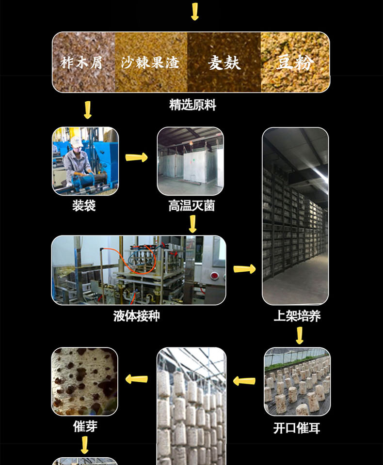 100g-詳_06.jpg
