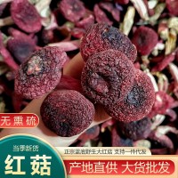 云南特產(chǎn)大紅菌干貨散裝 香甜紅面菇 廠家批發(fā)藍(lán)底正紅菇