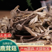 云南特產鹿茸菇干貨廠家批發(fā)鹿茸菌干貨酒店火鍋店食材 產地貨源