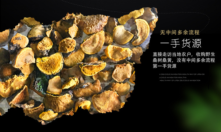 桑黃（琪）_05