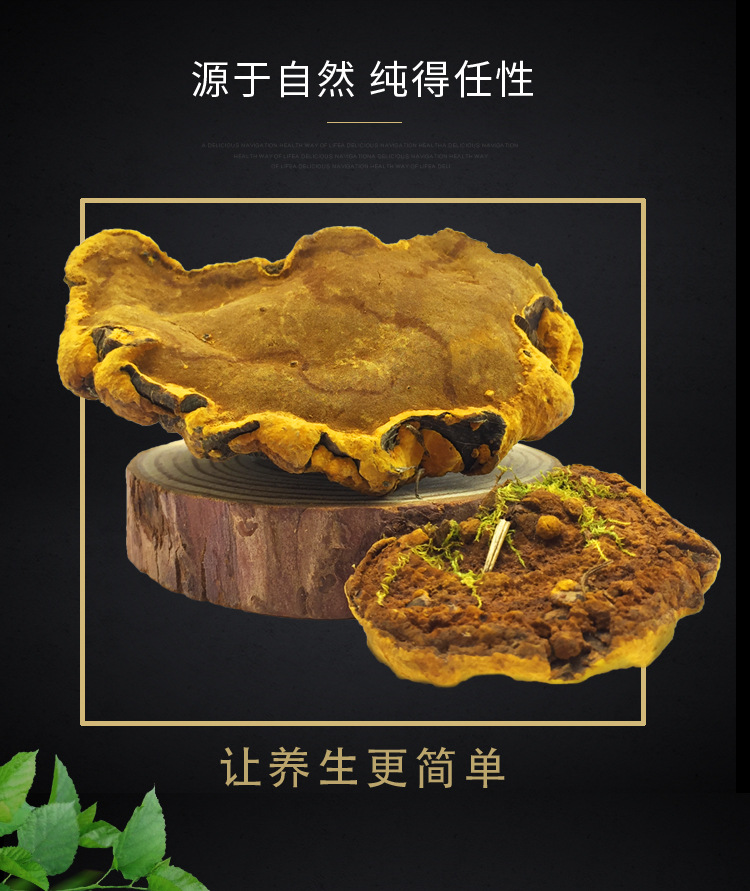 桑黃（琪）_02