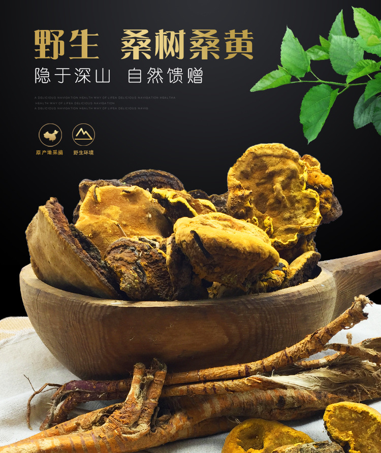 桑黃（琪）_01