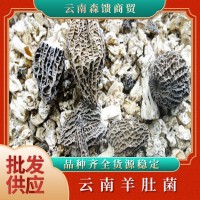 羊肚菌腳山珍菌菇野山菌腳現(xiàn)貨批發(fā)云南菌菇產(chǎn)地批發(fā)云南特產(chǎn)