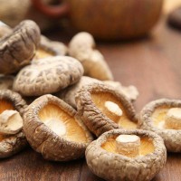 【廠家直供】新貨特產(chǎn)干香菇金錢菇500g散裝 金錢菇食用菌干貨
