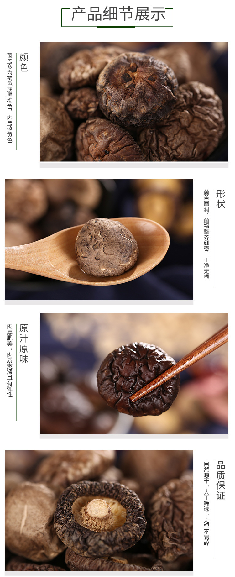 金錢菇_04