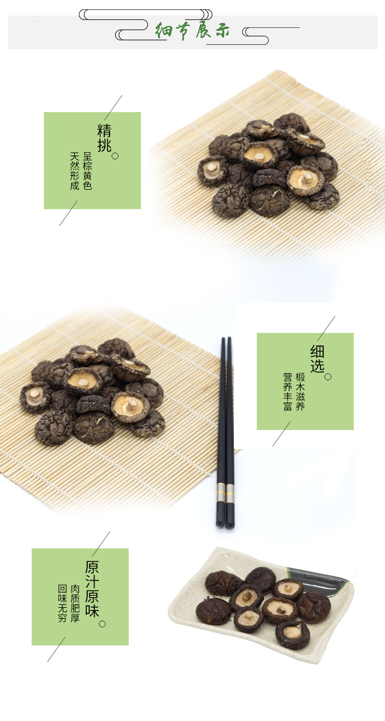 6金錢菇_04.jpg