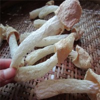 青川高山竹蓀 竹蓀 長裙 嫩蓀 干貨 竹笙竹蓀蛋 食用菌批發(fā)