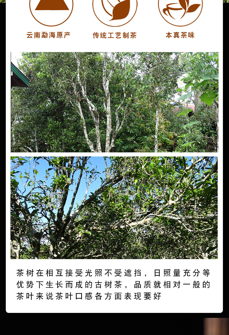 老茶頭詳情頁_03.jpg