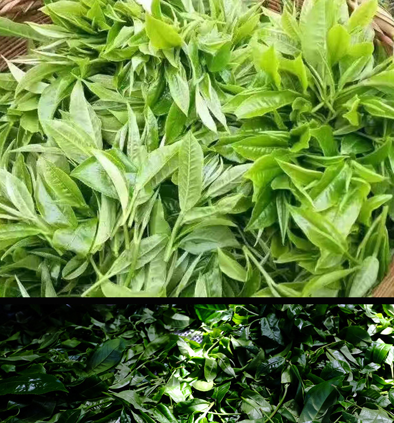 宮廷散茶詳情頁_07.jpg