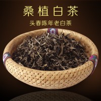 桑植白茶 機采葉壓餅專用葉 高山品質(zhì)白茶散裝張家界特產(chǎn)廠家直銷