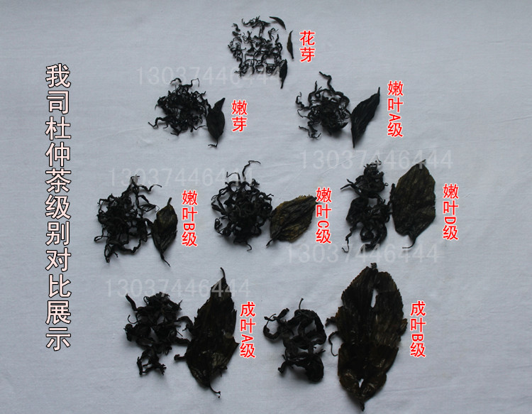 杜仲茶級別對比展示