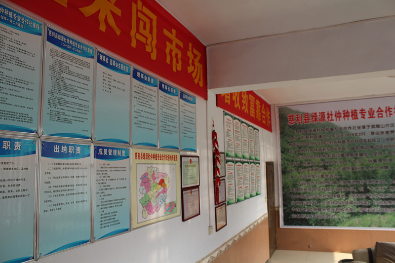 公司辦公室照1