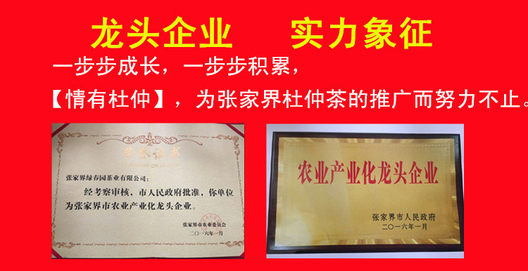 龍頭企業(yè)