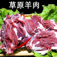 達生源廠家內蒙古新鮮生羊肉散裝燒烤食材草原散養(yǎng)冷凍羊肉
