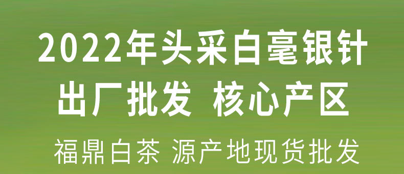 2022年頭采銀針-fx_01.jpg