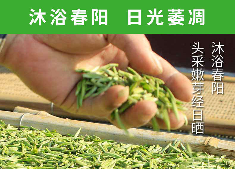 2022年頭采銀針-fx_10.jpg