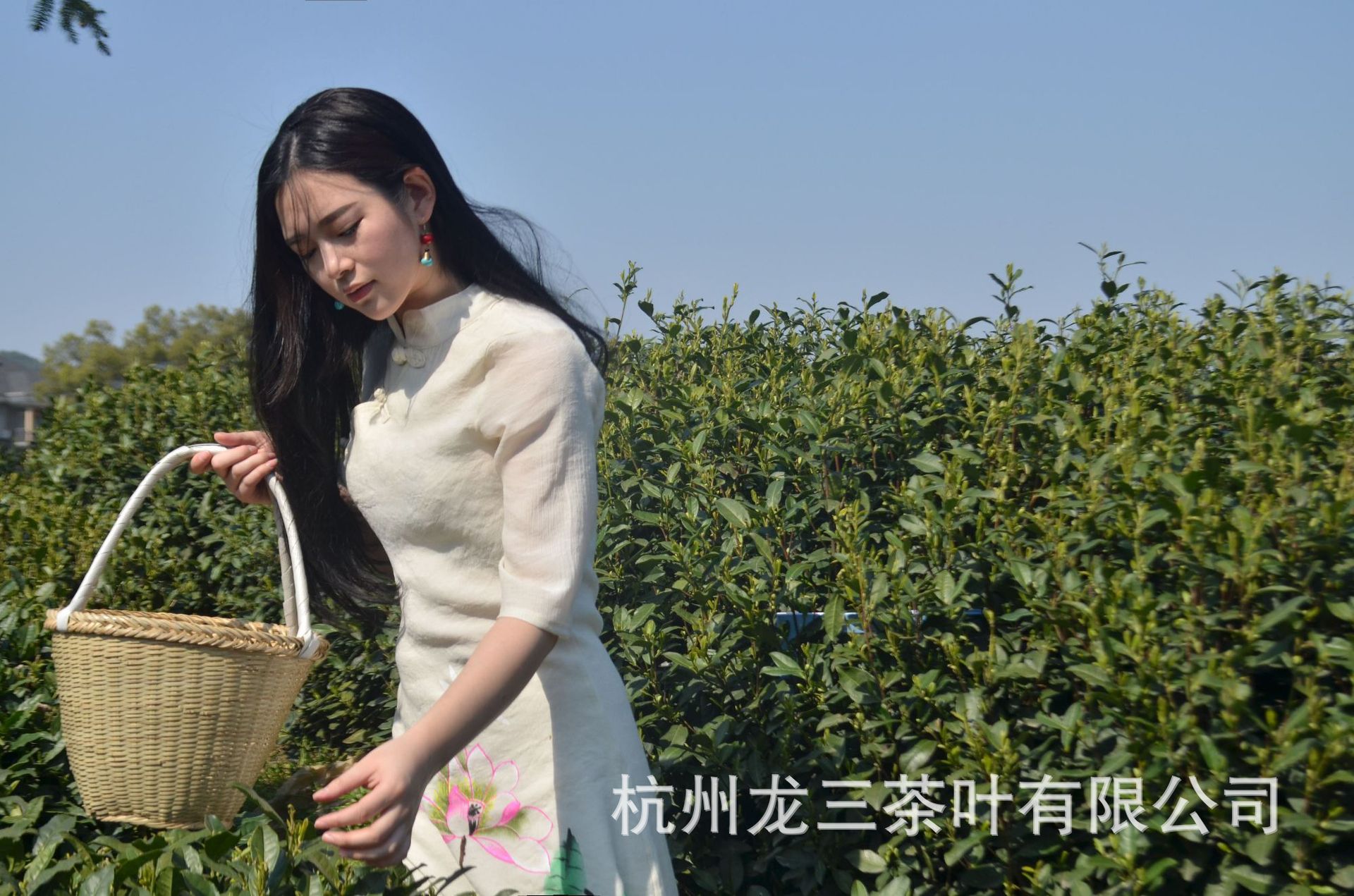 QQ圖片20161125144808.jpg