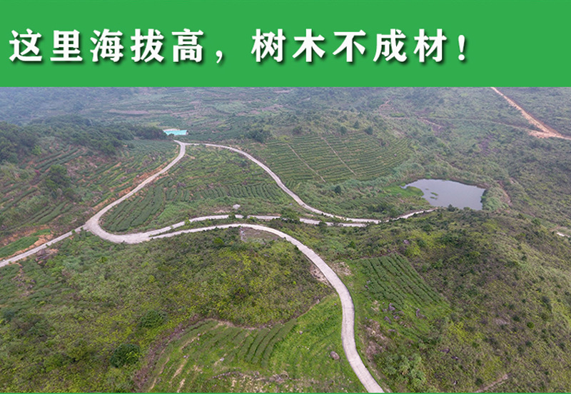 未標(biāo)題-1_14.jpg