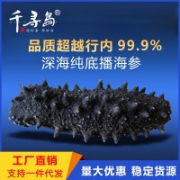 大連純淡干 海參干貨批發(fā)50g 大連遼參廠家一手貨源支持一件代發(fā)