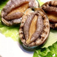 冷凍鮑魚(yú)批發(fā) 一手貨源鮑魚(yú)批發(fā)鮮活速凍鮑魚(yú)500g可代發(fā)分銷(xiāo)