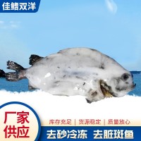 廠家現貨海參斑魚 去臟冷凍水產品海參斑 餐飲海鮮水產海參斑
