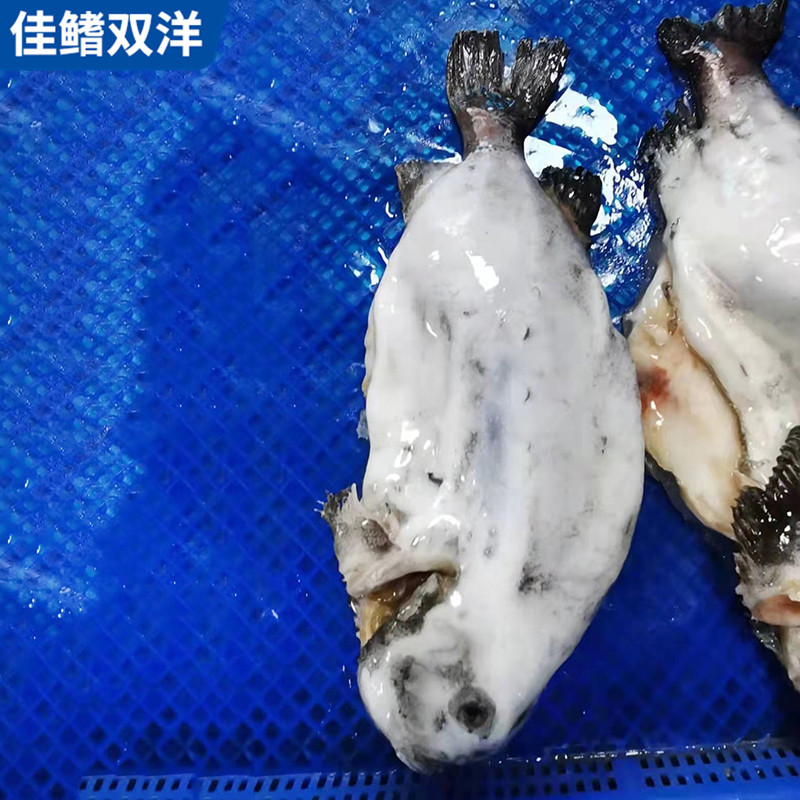 微信圖片_20210123085416.jpg