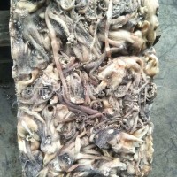 直銷冷凍魷魚 赤道魷魚頭秘魯魷魚頭300/500 500/1000赤道魷魚尾