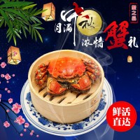 鮮活大閘蟹 公母隨機 水產(chǎn)現(xiàn)貨 螃蟹批發(fā)一件代發(fā)